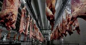 La Nación / El Mades avanza en la elaboración de Estándar Nacional de Carne Sostenible