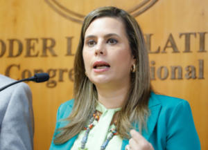 Ex senadora cuestiona agenda oculta tras supuesto encuentro secreto entre poderes - PDS RADIO Y TV