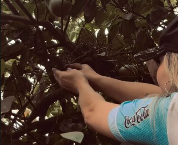 Popular / ¡El gesto de amor de Marilina: Salvó una vida!