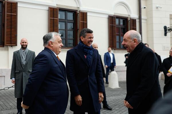 Paraguay y Hungría buscan aumentar intercambio comercial