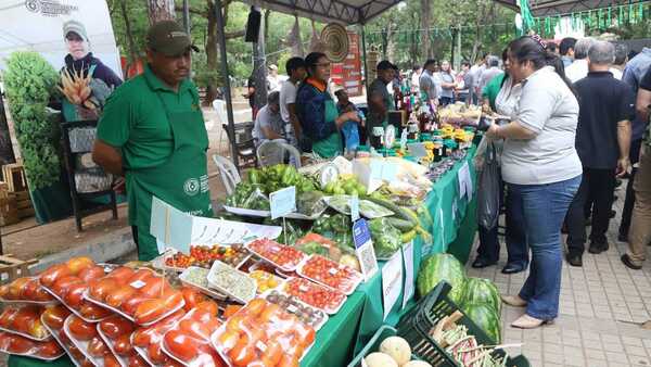 Lo que tenés que saber: Dólar bajo, ferias de agricultura y libelo contra ministros de la Corte