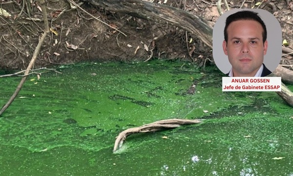 Anuar Gossen: “El agua del arroyo Pindoty no está contaminada, es falso” - OviedoPress