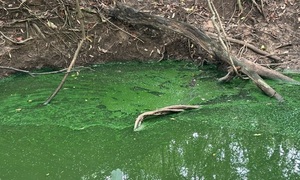 Pindoty: denuncian que ESSAP no cumple compromisos y el arroyo volvió a contaminarse con agua podrida - OviedoPress