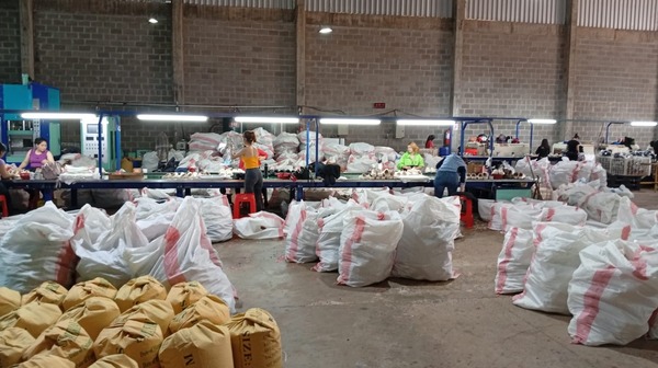 Amputación de operaria expone graves irregularidades en fábrica de CDE - ADN Digital