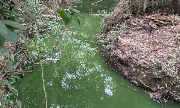 Ante abandono de la ESSAP, vecinos de Pindoty van por el cierre de la planta: "No permitiremos que siga la obra" - OviedoPress