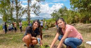 Diario HOY | Paraguay habilitará el primer Bachillerato Técnico Forestal en el 2026