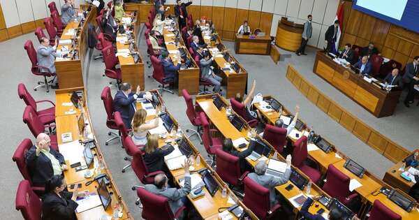 Diario HOY | Dan media sanción a proyectos de Ley del obstetra y del radiólogo