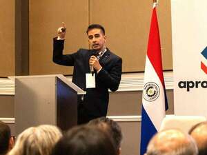 Estos son los nuevos sectores que sostienen la estabilidad paraguaya  - Economía - ABC Color