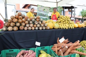  Feria de Agricultura Familiar en Asunción (CAH)