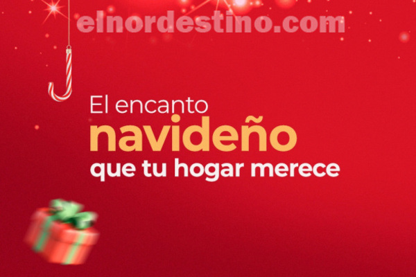 Con website renovado, e-commerce de Shopping China Importados se consolida como mejor opción de compras online nacional  - El Nordestino