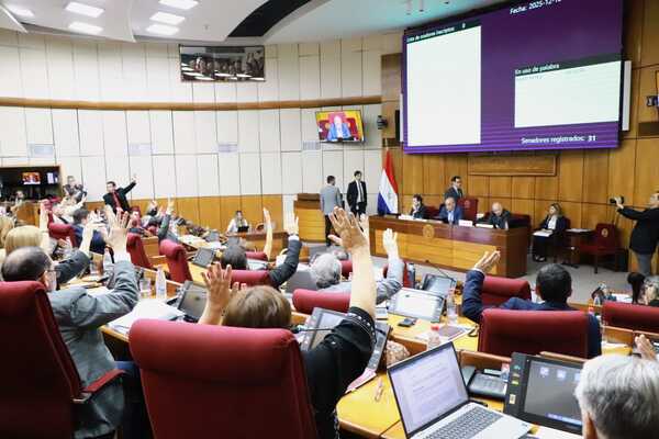 Senado sanciona la reforma del transporte público y envía la ley al Ejecutivo