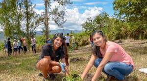 Popular / Habilitarán el primer bachillerato técnico forestal en San Pedro y Concepción 