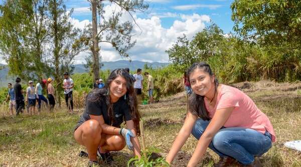 Popular / Habilitarán el primer bachillerato técnico forestal en San Pedro y Concepción 