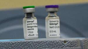 Vacuna contra el dengue: Por baja cobertura analizan ampliar rango etario y localidades