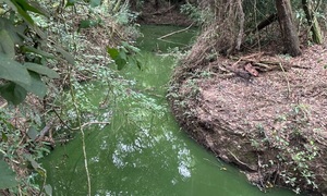 Gobernación admite “frustración” por falta de avances operativos en la ESSAP y pide claridad ante la comunidad - OviedoPress