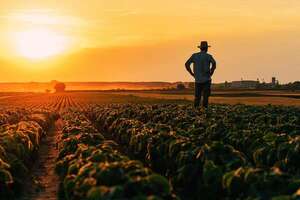 Cooperativismo es un importante motor de la producción y exportación, destaca gremio - ABC Rural - ABC Color