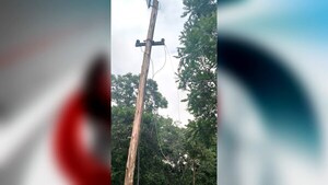 Hurto de Nueva Alborada afecta infraestructura eléctrica