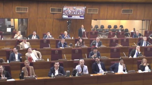 Diputados confirman blindaje a intendentes y excluyen tratar intervenciones en la última sesión