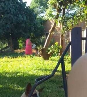 [VIDEO] ¡Terrible! Graban a mujer golpeando y derramando agua a niño de condición especial