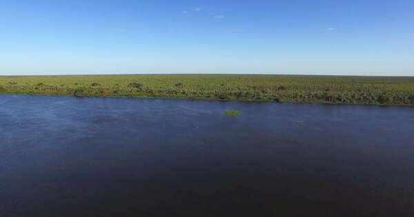 La Nación / En zona de Itá Enramada hallan muerta a joven de 18 años desaparecida