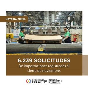 Régimen de Materia Prima supera los USD 480 millones en importaciones