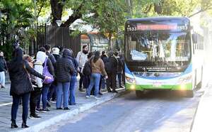 Estas líneas de buses ofrecerán “transbordo gratuito”, según Cetrapam - Economía - ABC Color