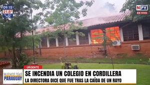 Fuego devastador en Colegio de Cordillera: Habría sido alcanzado por un rayo