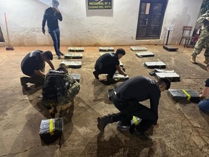 Golpe verde:  cae 186,5 kilos de marihuana en Remansito