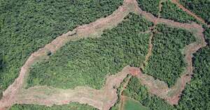 La Nación / Detienen a dos hombres que hacían desmonte de reserva forestal e incautan maquinarias