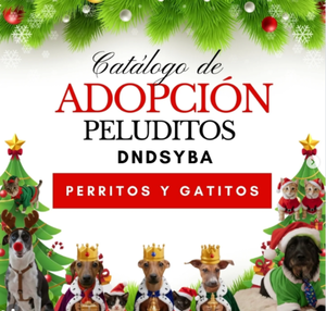 Defensa Animal invita a adoptar a perros y gatos bajo su resguardo en estas fiestas