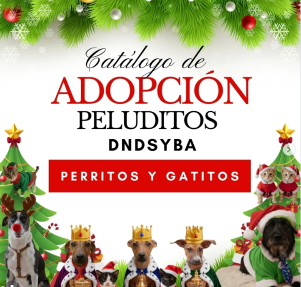 Defensa Animal invita a adoptar a perros y gatos bajo su resguardo en estas fiestas