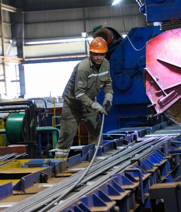 Industria aporta 26% al PIB y genera más de 33.000 empleos en el Paraguay