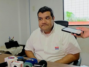 ANDE aguarda informe oficial tras supuesta implicación de funcionario en presunta tala ilegal en Paso Barreto - Concepción al Día