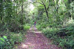 Santiago Peña reglamenta régimen de jubilación de guardaparques - Nacionales - ABC Color