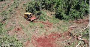 La Nación / Detenidos por hacer desmonte en reserva