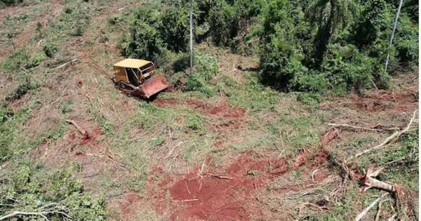 La Nación / Detenidos por hacer desmonte en reserva