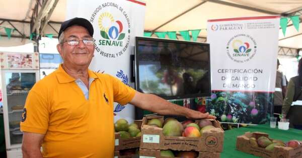 La Nación / Producción de mango en Paraguay proyecta un potencial de rentabilidad