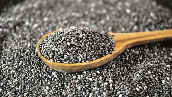 Chía cierra este año con ingresos al país por US$ 200 millones  - ABC Rural - ABC Color