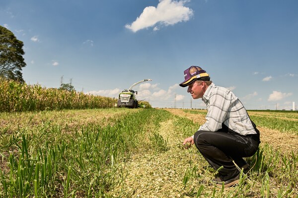 Agro y Agroindustria: Récord en Maíz y Tensión por Precios