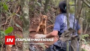 BOMBEROS DE LAS COLONIAS RESCATAN A PERRO ATADO EN EL MONTE
