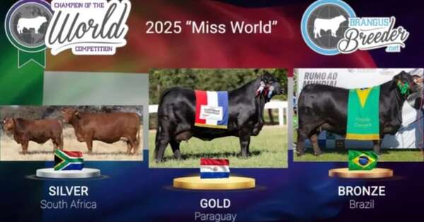 La Nación / Una brangus paraguaya se consagra como campeona mundial