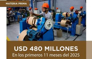 Paraguay supera USD 480 millones en importaciones de Materia Prima