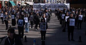 La Nación / Protestan en Madrid contra el maltrato animal en granjas y mataderos