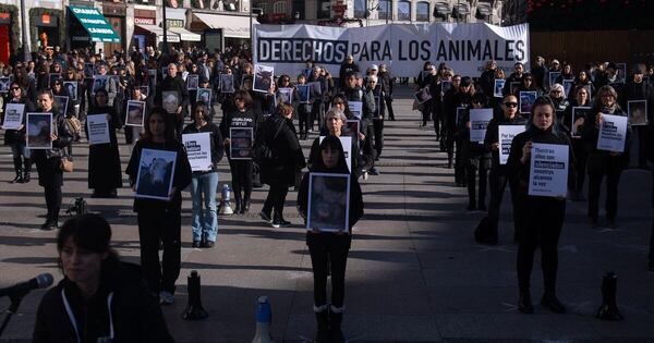 La Nación / Protestan en Madrid contra el maltrato animal en granjas y mataderos