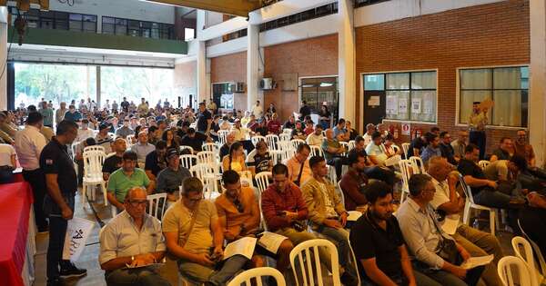 La Nación / La Ande subastó 100 vehículos en desuso y recaudó más de G. 1.200 millones