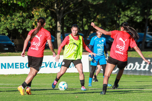 Iniciaron los trabajos pensando en Chile