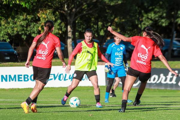 Iniciaron los trabajos pensando en Chile