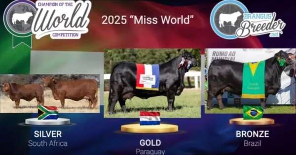La Nación / Brangus paraguaya, campeona