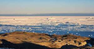 La Nación / Antártida, ese lugar a donde llega lo que el viento se llevó