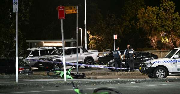 La Nación / Australia: tiroteo en popular playa deja al menos 11 muertos